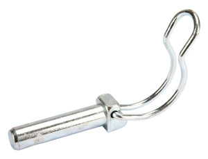 Pennen en borging
