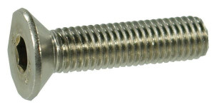 PL.V.INB.BOUT M4X10 RVS-A2