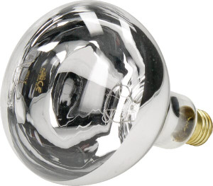 INFRAROOD WARMTELAMP 250W TRANSPARANT HA