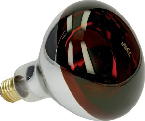 INFRAROOD WARMTELAMP 250W ROOD HARDGLASS