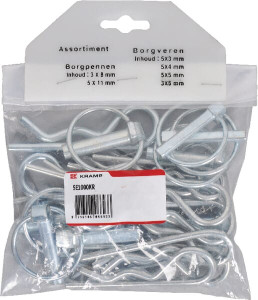 ASS.BORGVEREN EN -PENNEN