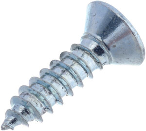 ZELFTAPPENDE PLAATSCHROEF 4,8X19MM PZ2 P