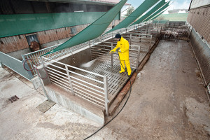 HOGEDRUKREINIGER HD 25/15-4 CAGE PLUS