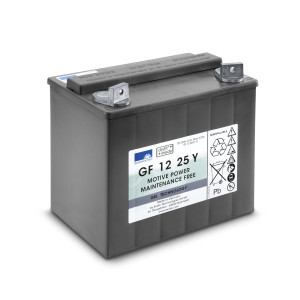 ACCU, 12 V, 25 AH, ONDERHOUDSVRIJ
