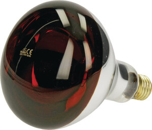 INFRAROOD WARMTELAMP 150W ROOD HARDGLASS