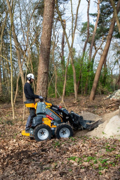 Giant GS900 Skid Steer Lader