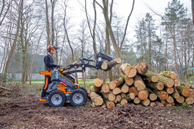 Giant GS900 Skid Steer Lader
