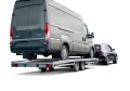 Autotransporters
